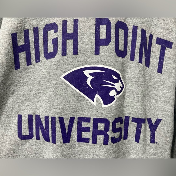 Champion High Point University Panthers Gray Crewneck Sweatshirt - Picture 3 of 10